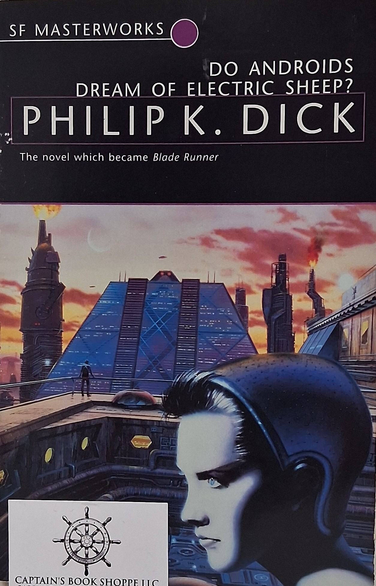 Do Androids Dream of Electric Sheep