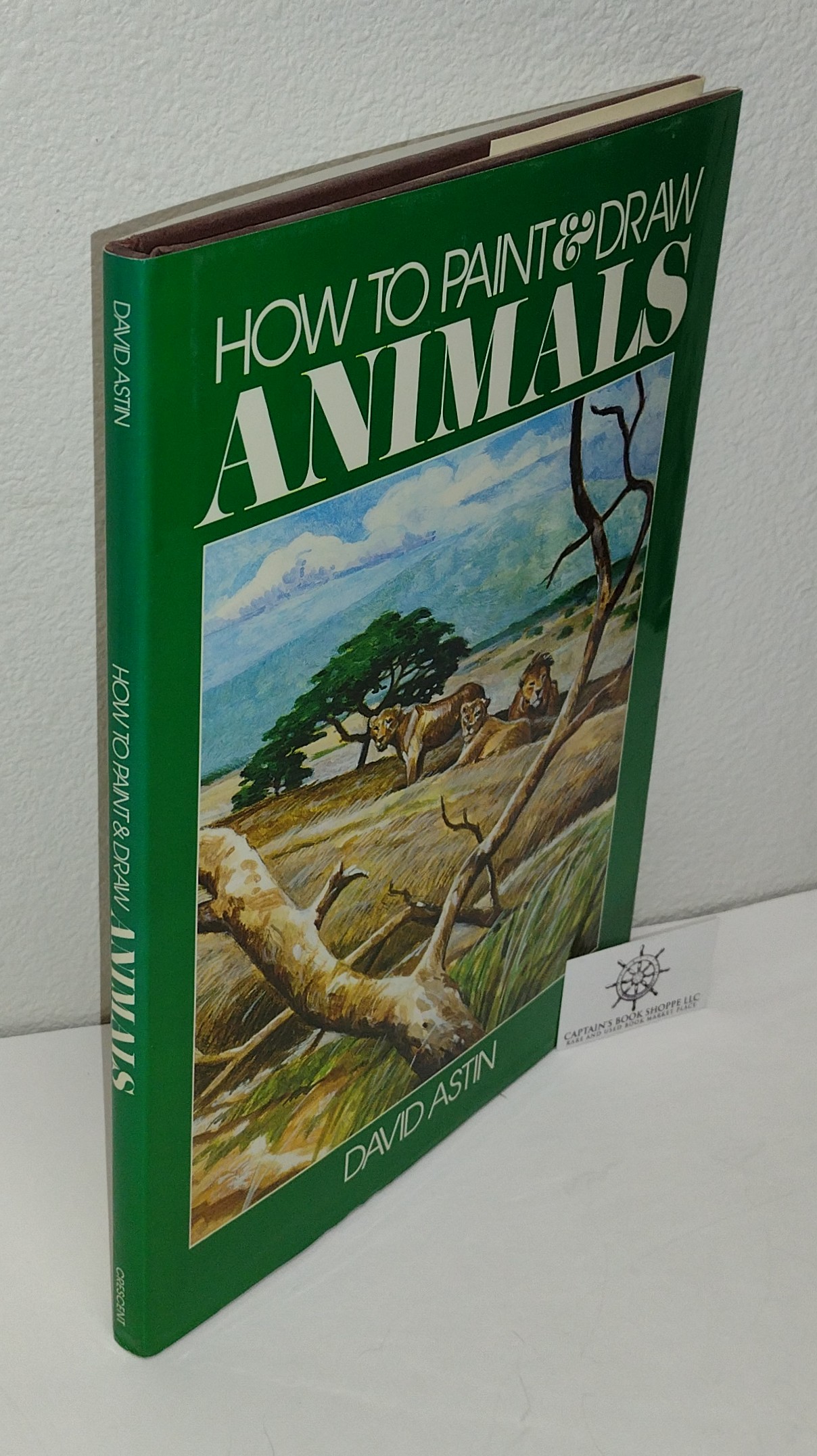 How To Paint And Draw Animals