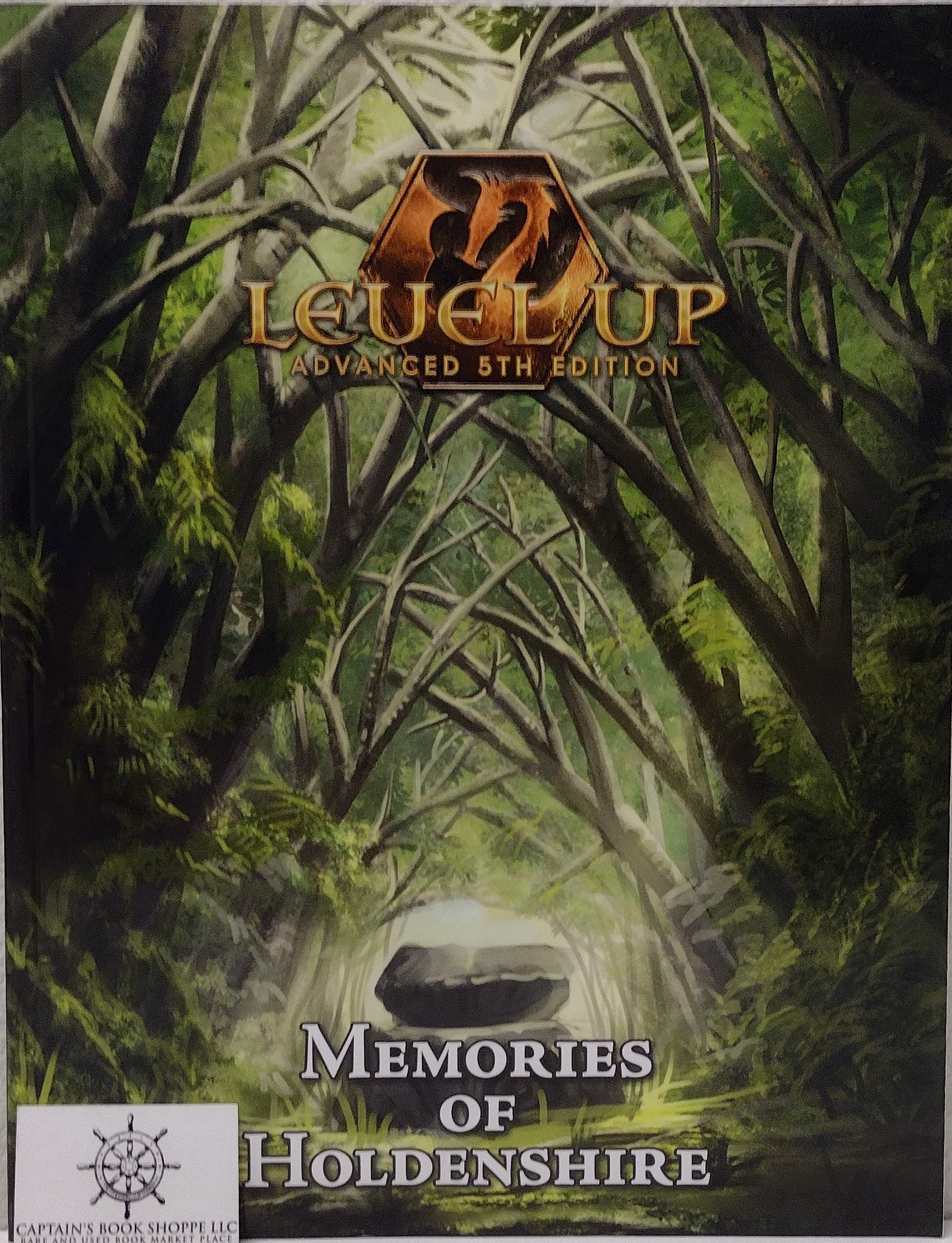 Memories of Holdenshire An Adventure for First Level Characters