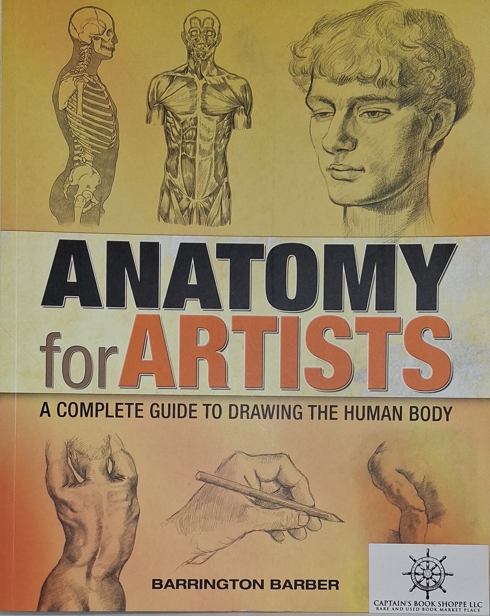 Anatomy for Artists